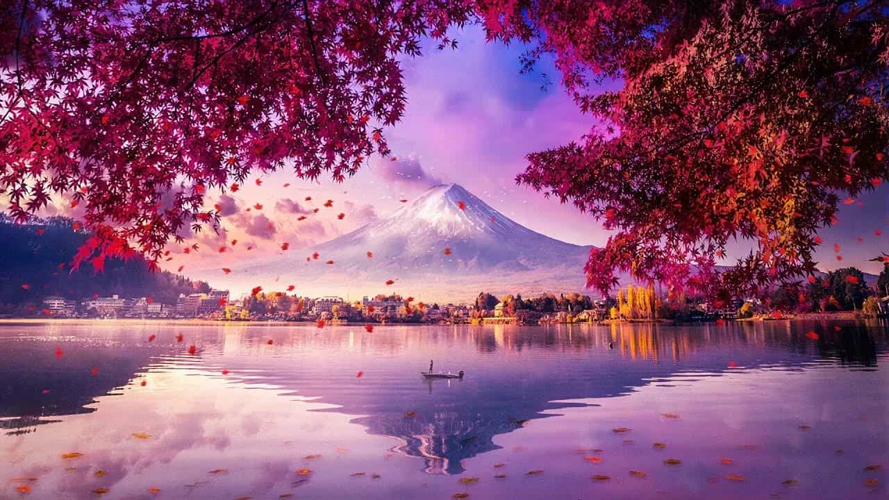 Обои Nature HD: Красота дикой природы на вашем экране - 5