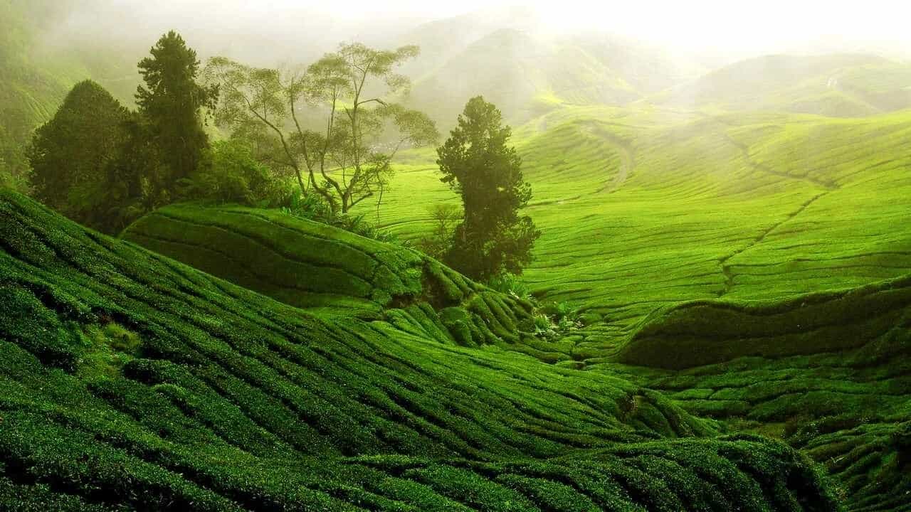 Обои Nature HD: Красота дикой природы на вашем экране - 4